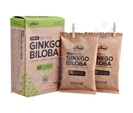 Vitar Ginkgo biloba 60mg+DMAE+vit.B6 EKO