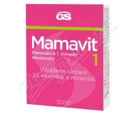 GS Mamavit 1 Plánování a 1.trimestr