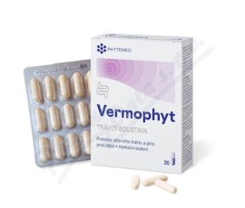 Vermophyt