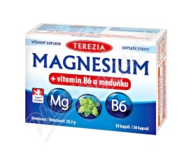 TEREZIA Magnesium+vitamin B6 a meduňka